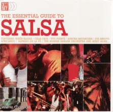 The Essential Guide To Salsa (3